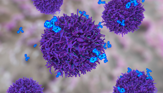Allergy
