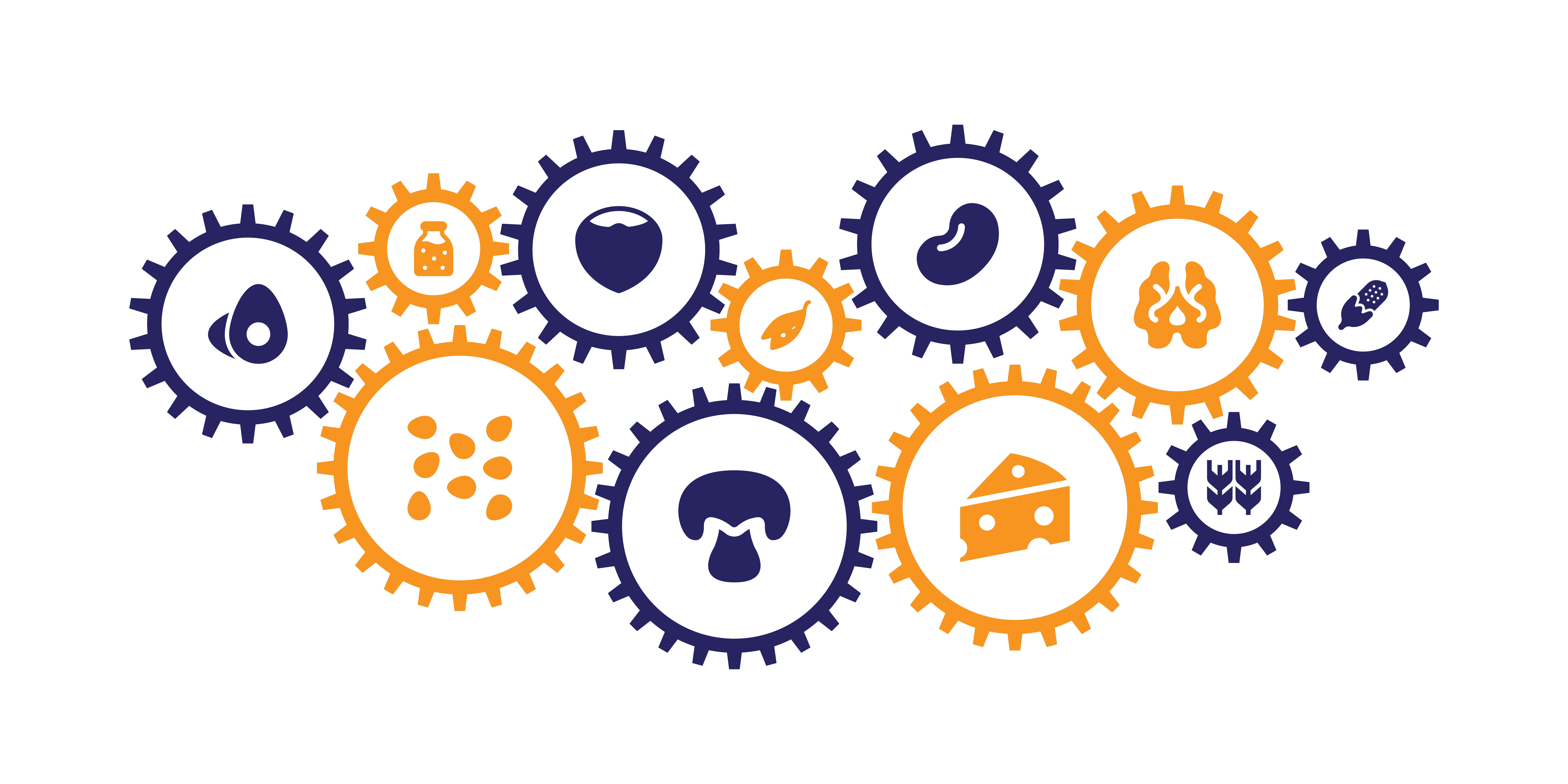 Understanding Allergy